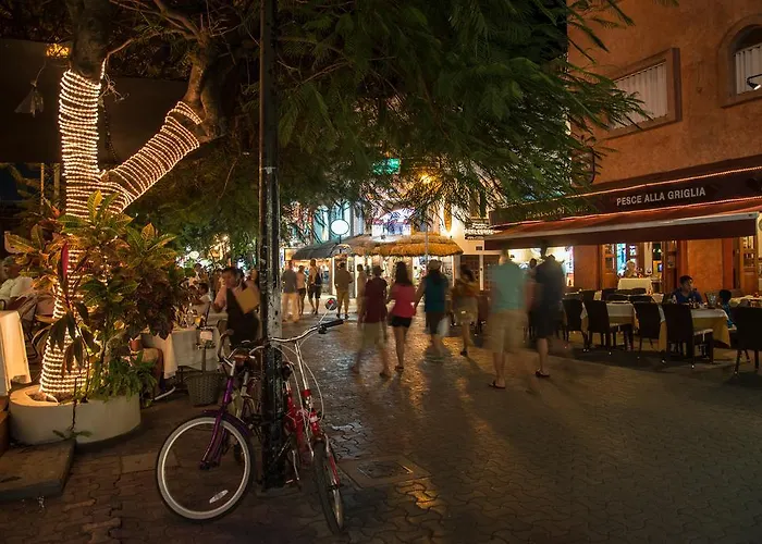 Hotel Blue Parrot On 5Th Avenue Playa del Carmen